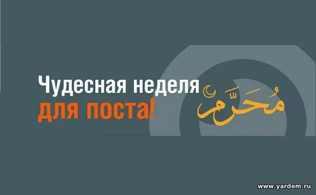 Ашура открывает неделю дополнительного поста. Общие новости