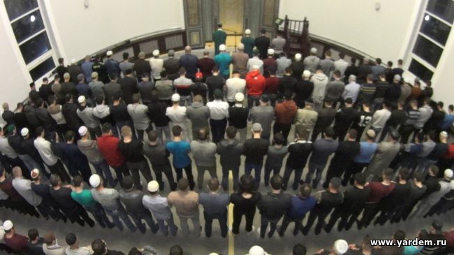 Илдар хазрат Баязитов: "За месяц Рамадан в мечети "Ярдэм" будет прочитан весь Коран". Общие новости