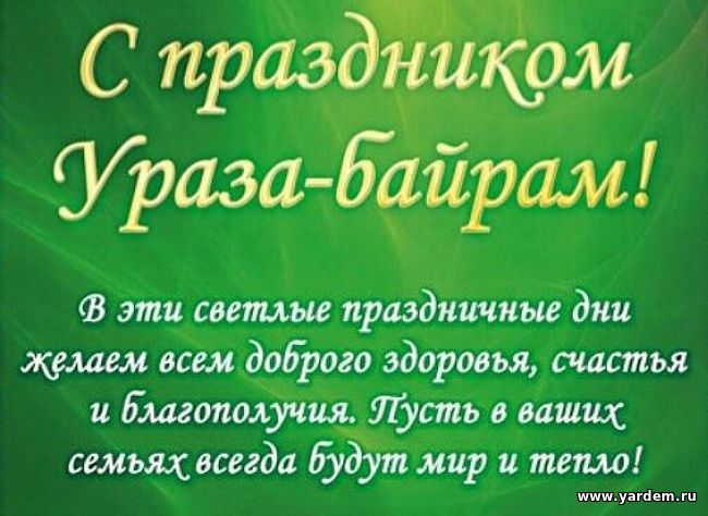 Илдар хазрат Баязитов принимает поздравления с праздником Ураза байрам