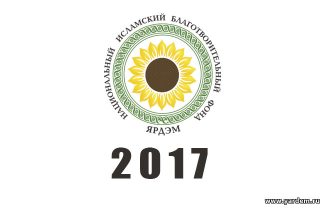 Достижения НИБФ "Ярдэм" в уходящем 2017 году. Общие новости