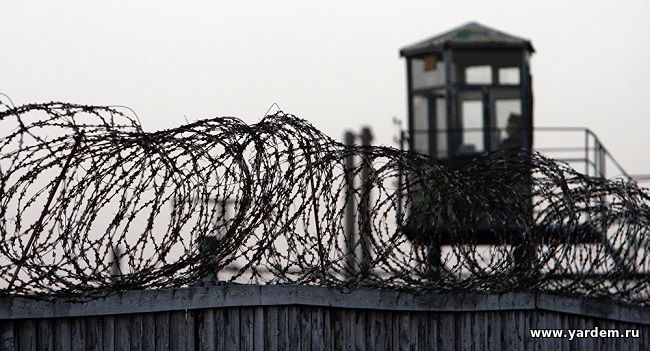 О зарождении тюрем: российский и мировой контекст
