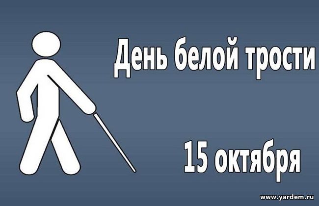 15 октября - Международный день белой трости. Общие новости