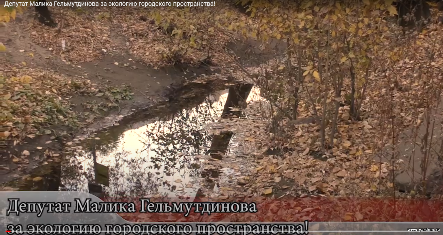 Депутат Малика Гельмутдинова за экологию городского пространства!