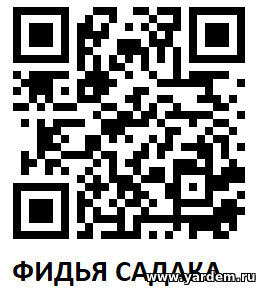 Священный месяц Рамадан в цифрах