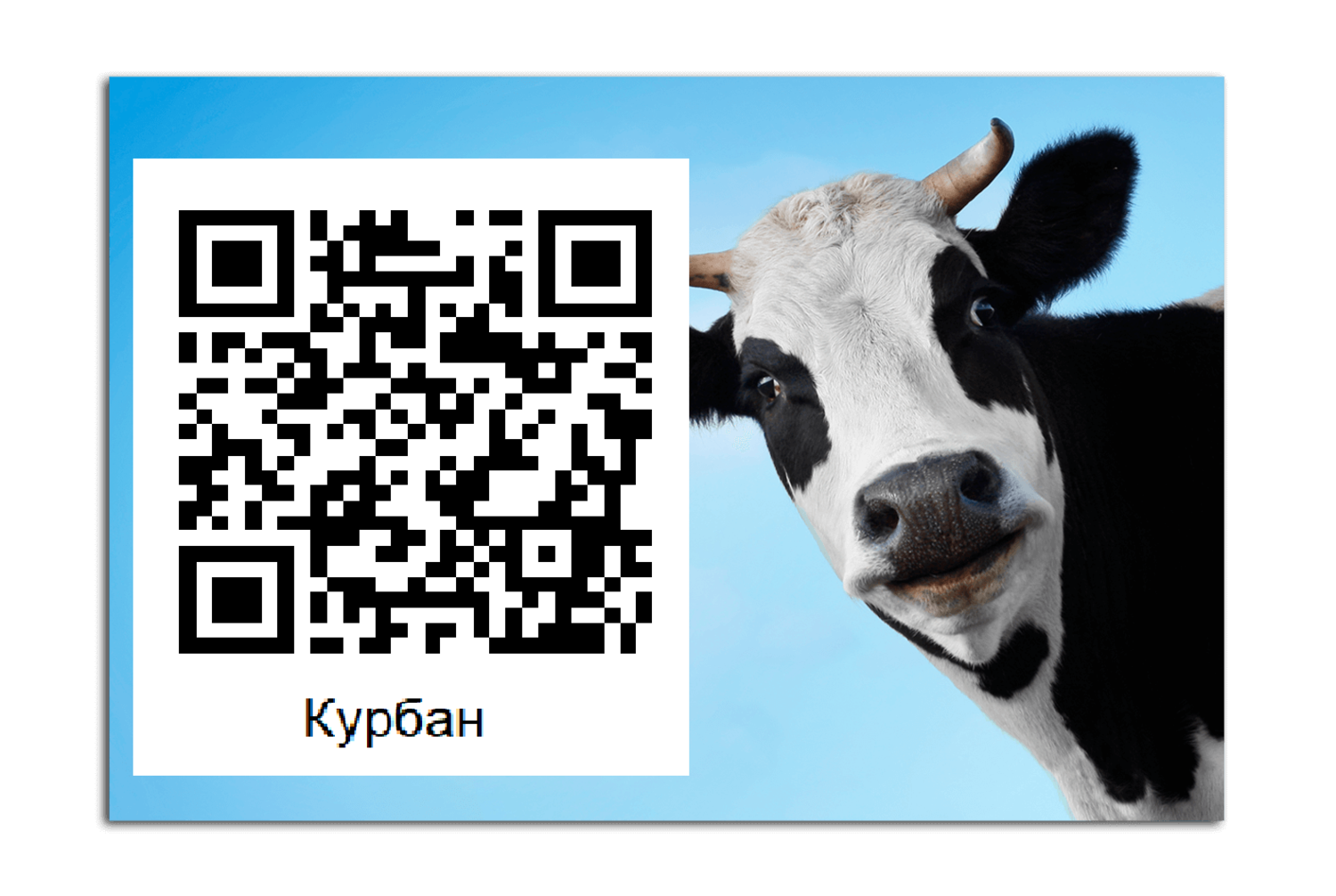 Заказать Курбан просто!
